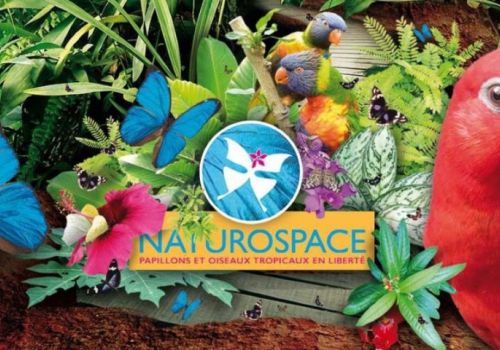 Naturospace, le carrousel