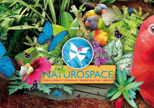 Naturospace, le carrousel